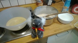 The Koala was feeling a little bowled over by the end of it all.